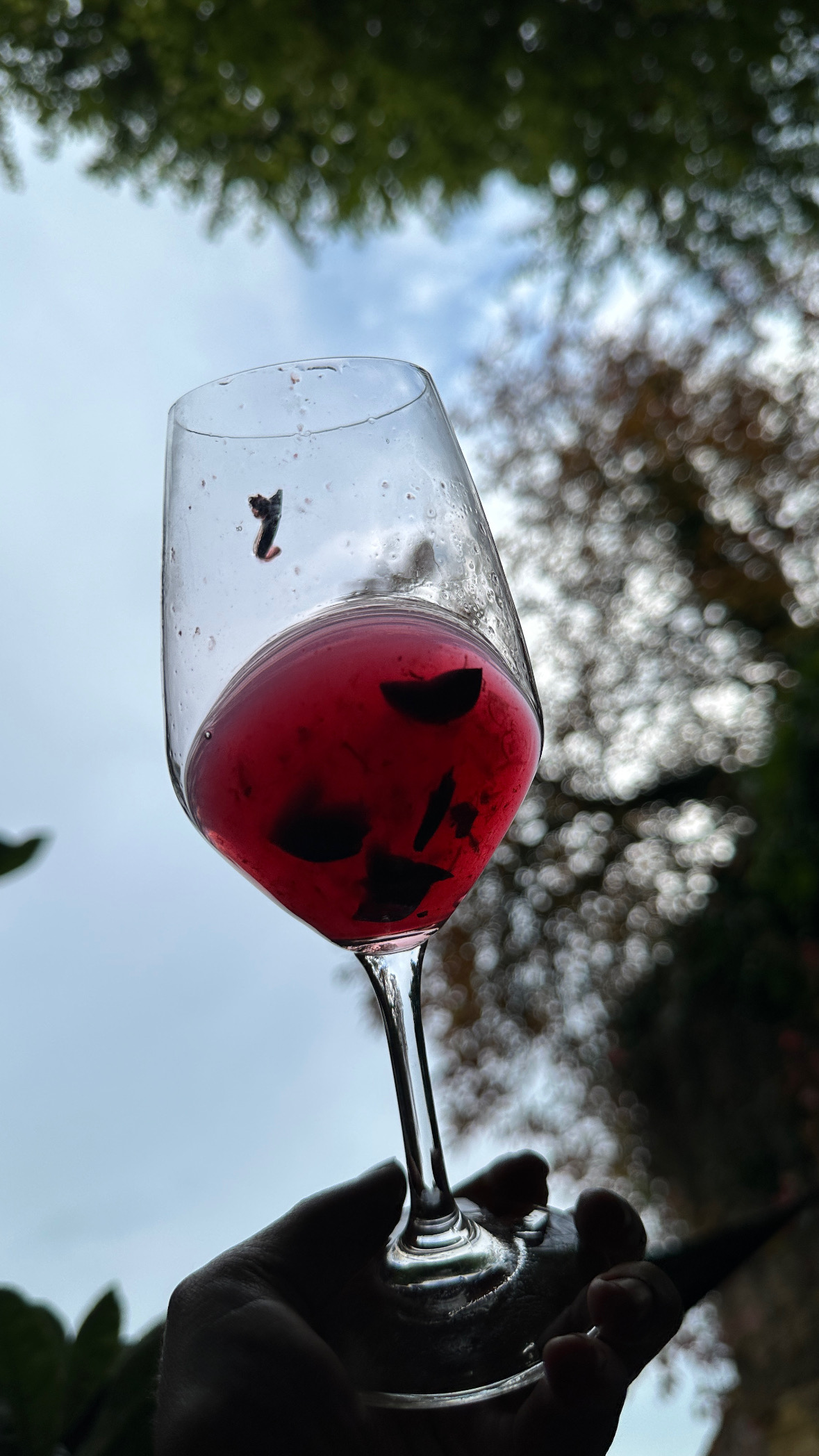 Glass of juice