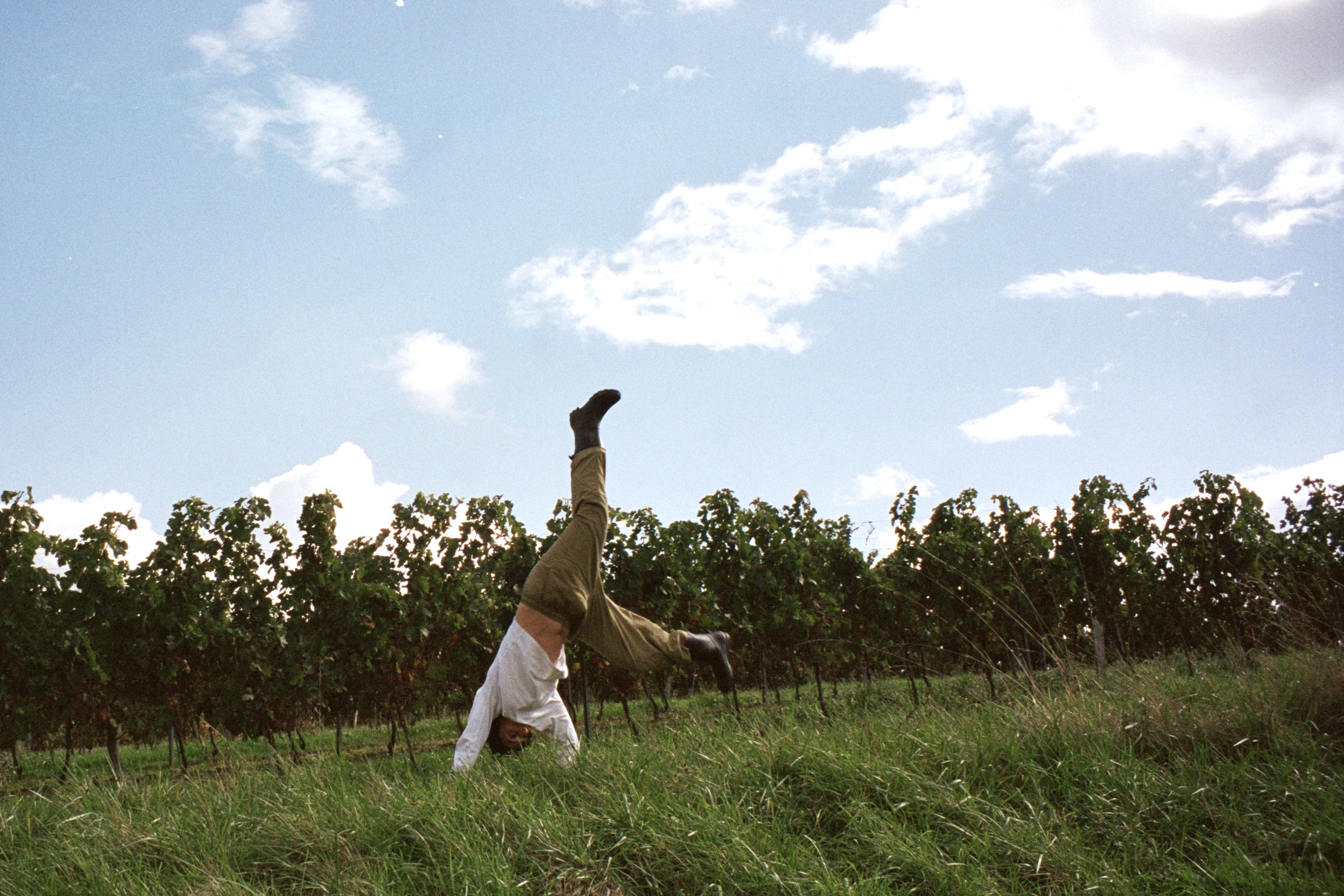 Girl doing cartwheel in vineyard