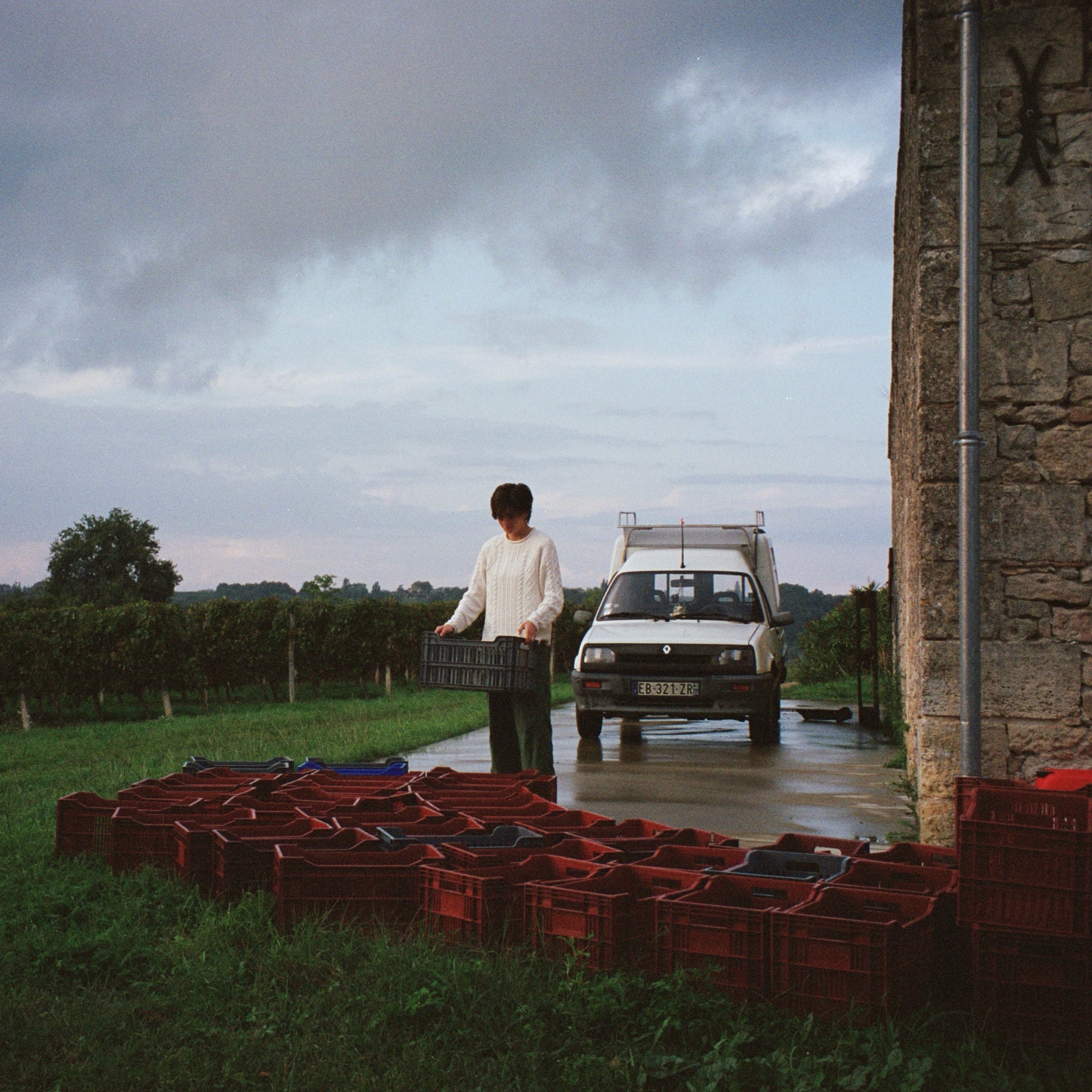 containers of grapes in front of a car