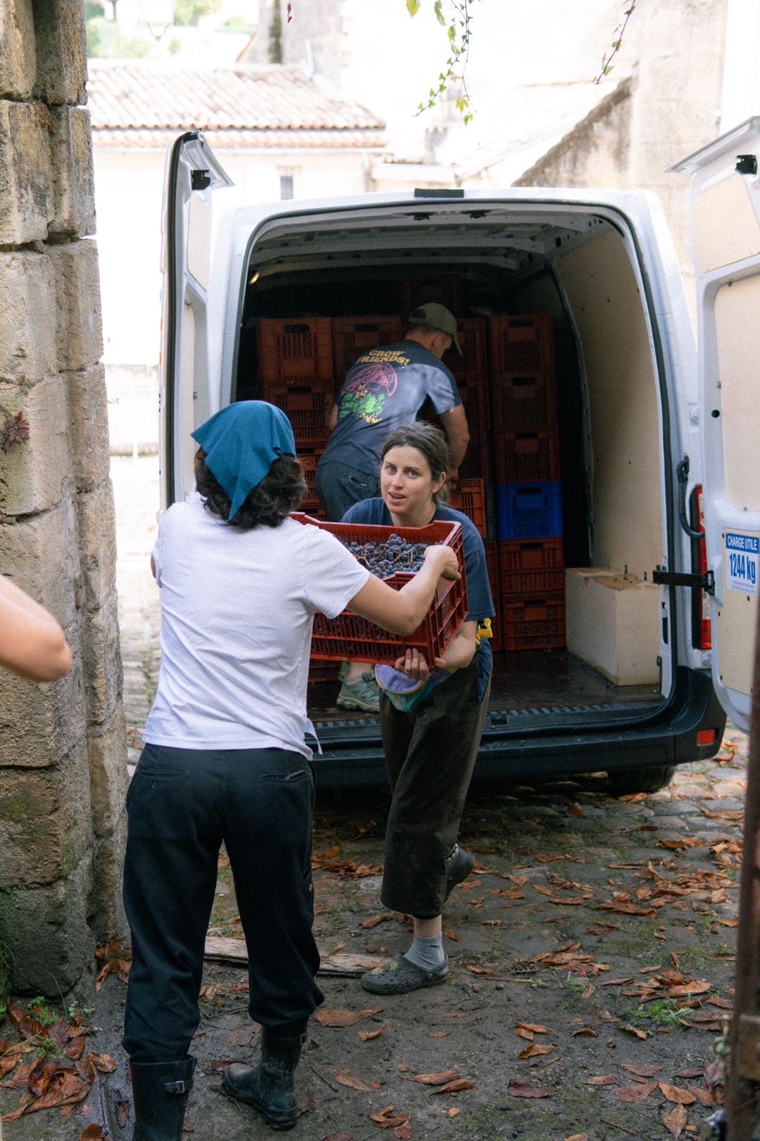 Two girls passing crates of grapes