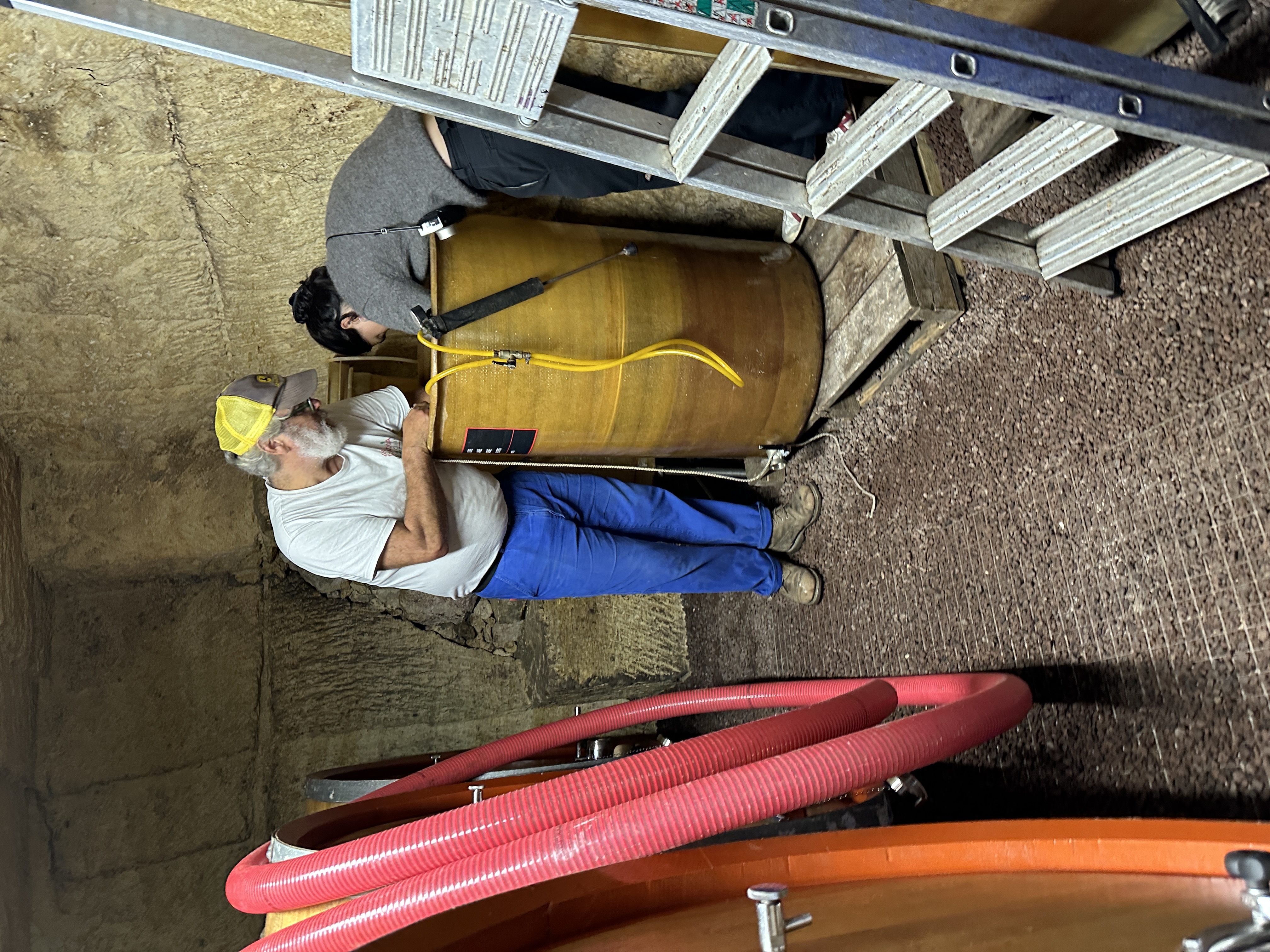 cellar work