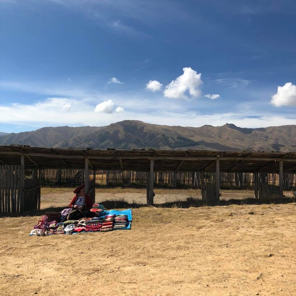a woman selling her wares in front of a distant mountain range